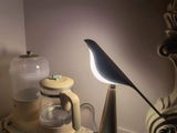 Jay review photo