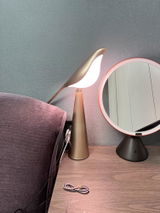 Jaysha Benallyv review photo