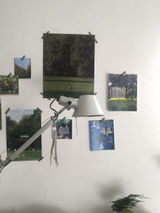 Monse Herivel review photo