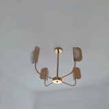 Carmon Wittig review photo