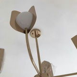 Carmon Wittig review photo