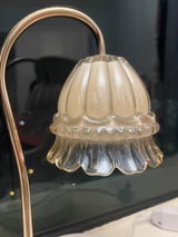 C Angelique review photo