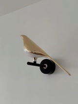 J. Briar Kolp review photo