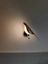 debra debaene review photo