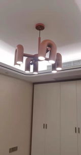 Anisha Agarwala review photo