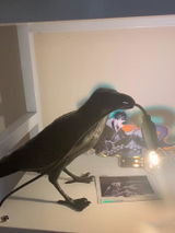Debra review photo
