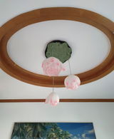 Carol Hollenshead review photo