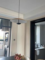 cathammer review photo