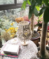 Spinozist review photo