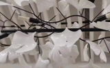 Tanisha C review photo