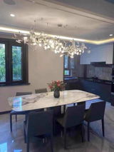 Dalia review photo
