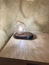 Scott Akins review photo