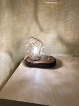 Scott Akins review photo