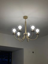 Carin review photo