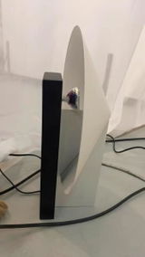 Sandra Says review photo