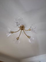 Isabella Wilson review photo