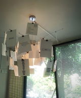 ,Annette Minjack review photo