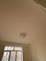 David Johnson review photo