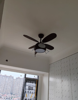 Kaysen review photo