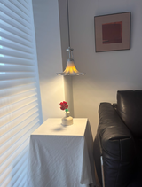 Promise review photo