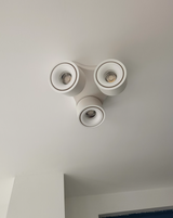 Dalia review photo