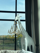 Vera review photo