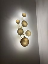 Chan review photo