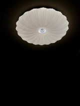 Shell review photo