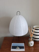 Lacy review photo