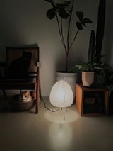 Fannie review photo