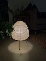 Fannie review photo