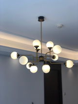 Lesa review photo