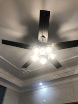 Stellica review photo