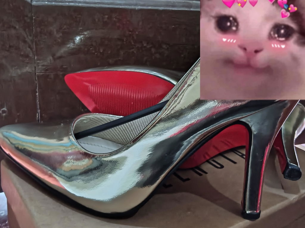 Anabelle Stiletto Pumps New