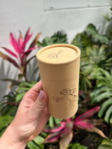 Feli review photo