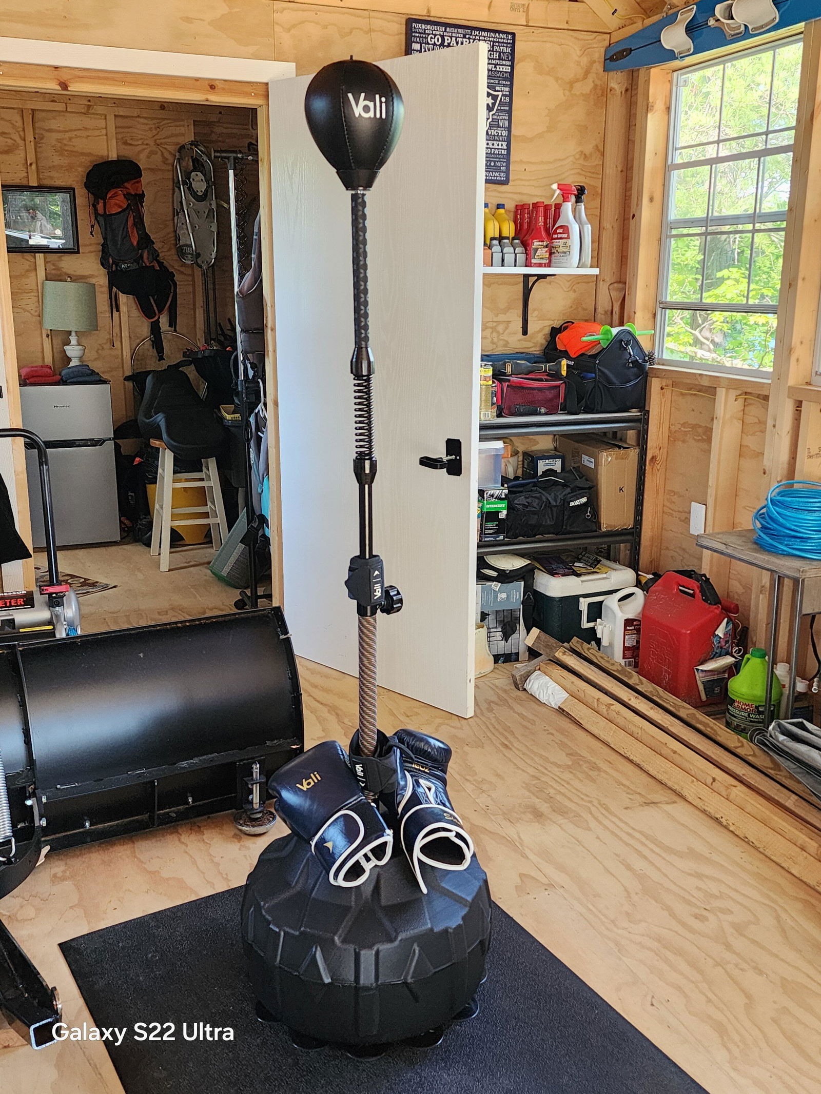 Nista Cobra Reflex Bag For Boxing | Vali