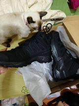 s*****. review photo