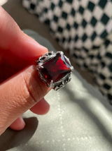 Ray C. review photo