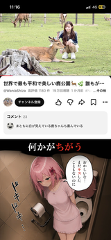 匿名 review photo