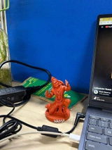 Sunita Rani review photo