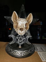 Fawn A. review photo