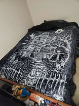 Raven review photo