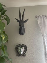 Kalie S. review photo