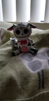Bones K. review photo