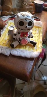 Bones K. review photo