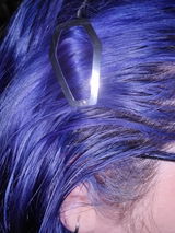 Gloria Z. review photo