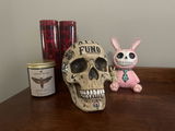 Joshua K. review photo