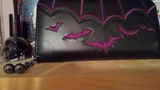 Janae D. review photo