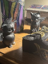 Debbie P. review photo