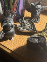 Debbie P. review photo
